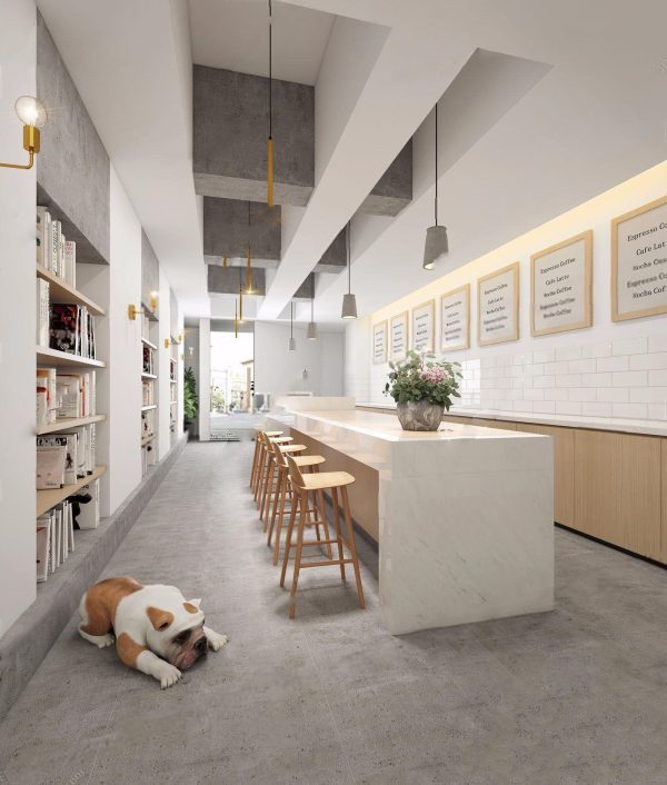 225-Interior Scenes-Cafes & Restaurants-Modern style
