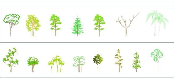 003-Vegetation-Cad-Blocks-Color-Trees-Elevation