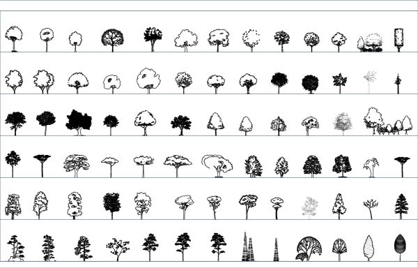 004-Vegetation-Cad-Blocks-Trees-Elevation