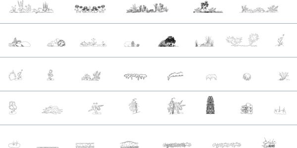 008-Vegetation-Cad-Blocks-Bushes-Elevation