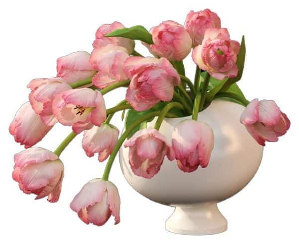 Flowers 3d Model 010