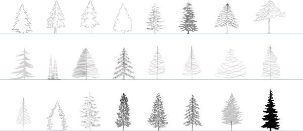 010-Vegetation-Cad-Blocks-Conifers-Elevation