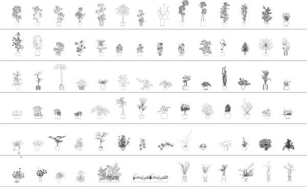 Vegetation Cad Blocks Potted Plants Elevation 013