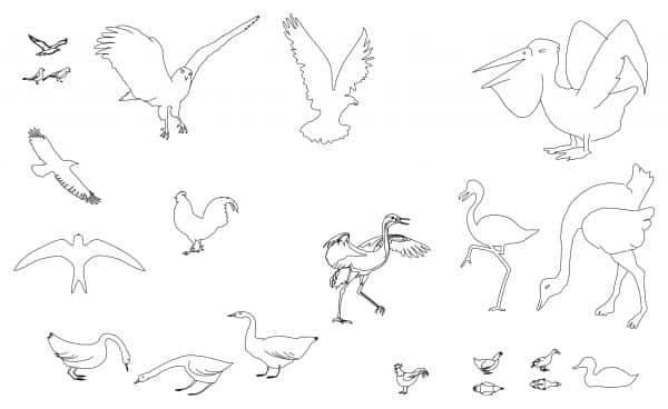008-Birds-Cad-Blocks