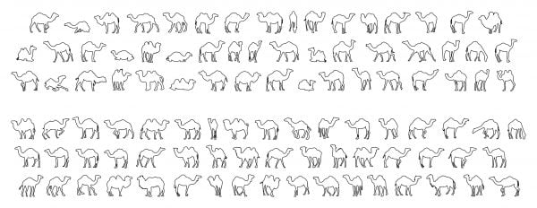 009-Camels-Cad-Blocks