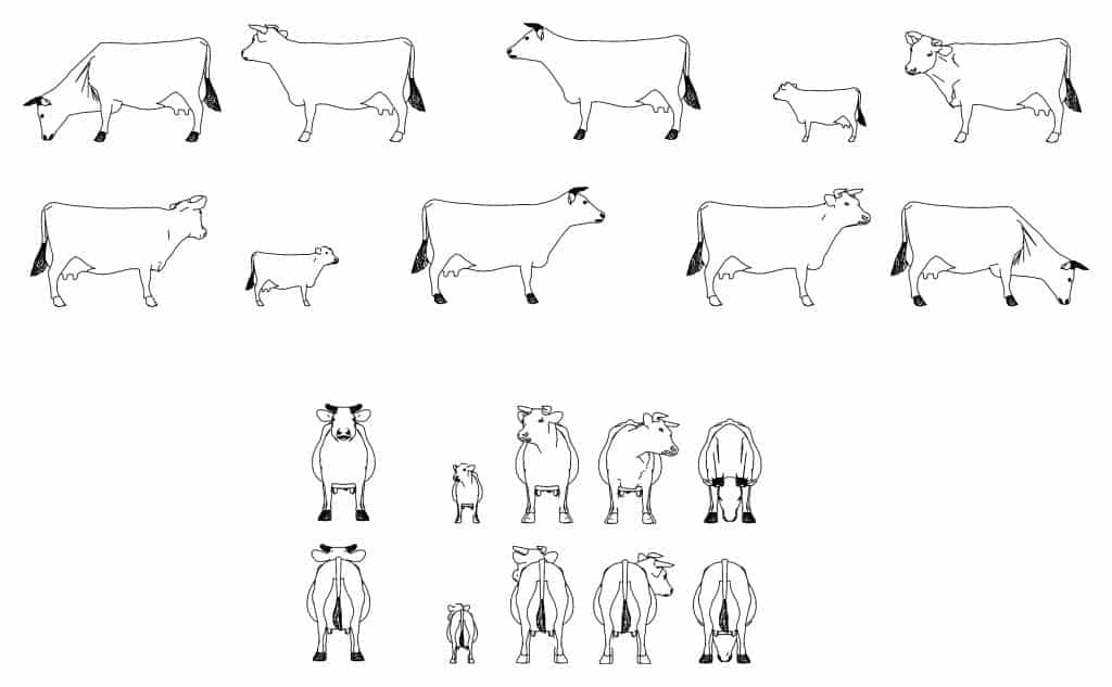 Coaws Model 010-Cows-Cad-Blocks - 3dshopfree