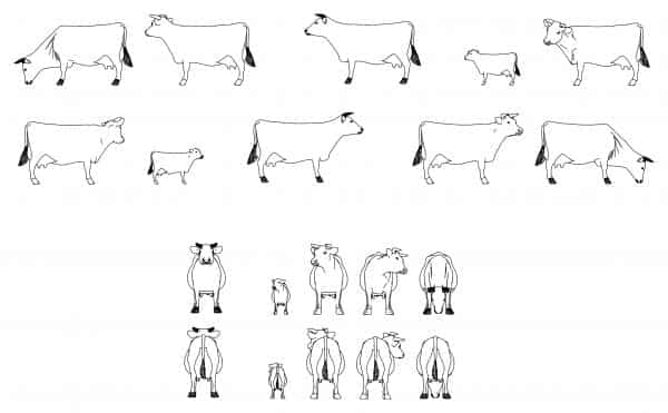 010-Cows-Cad-Blocks