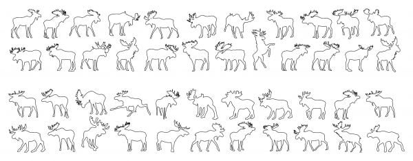 011-Moose-Cad-Blocks