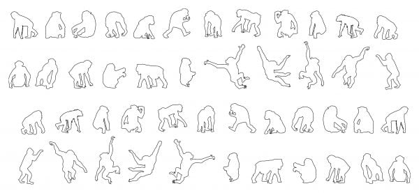 012-Chimpanzees-Cad-Blocks