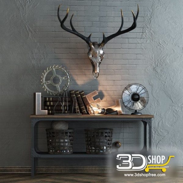 Home Decor Set With a Deer Skull 028