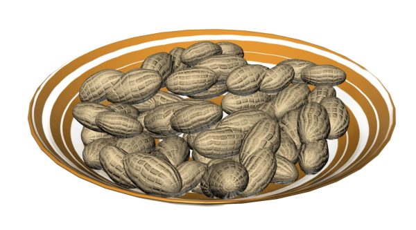 Nuts Plate 3d Model 072