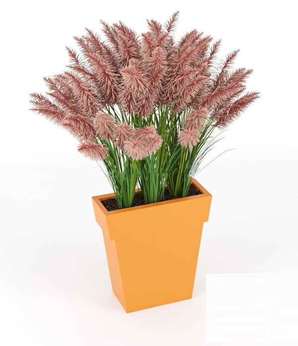 Plant 3d Model 3d Max – FBX – OBJ 019