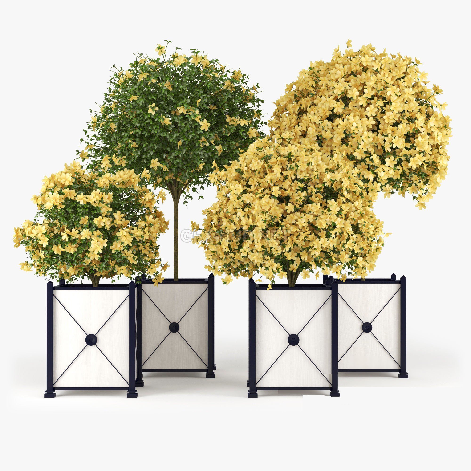 3d max, 3d model, 3dshop, Corona, fbx, flowers, Free download, Green, OBJ, Plants, Tree, V-ray