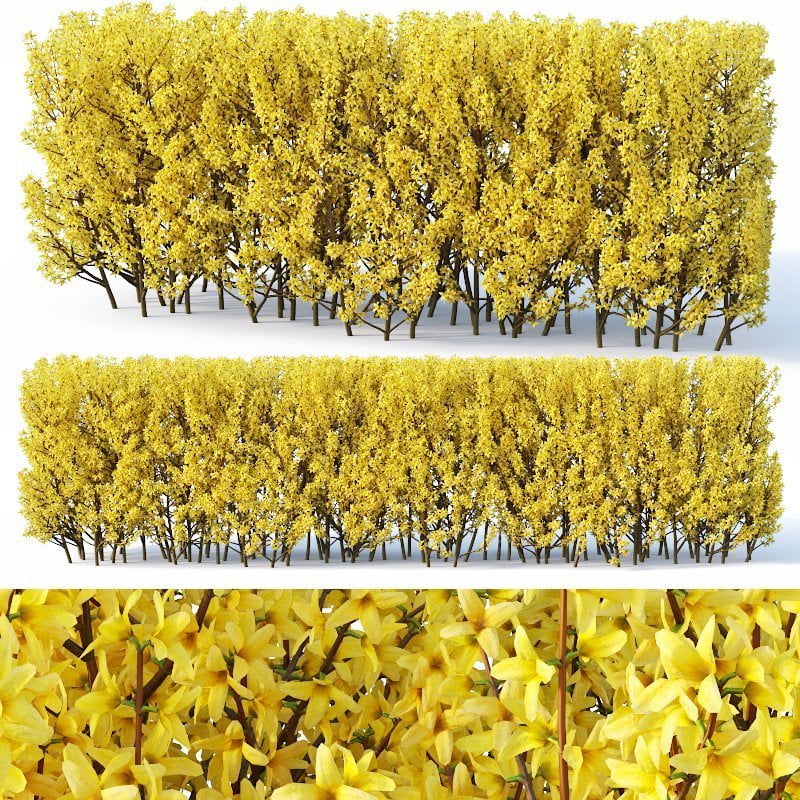 3d max, 3d model, 3dshop, Corona, fbx, flowers, Free download, Green, OBJ, Plants, Tree, V-ray