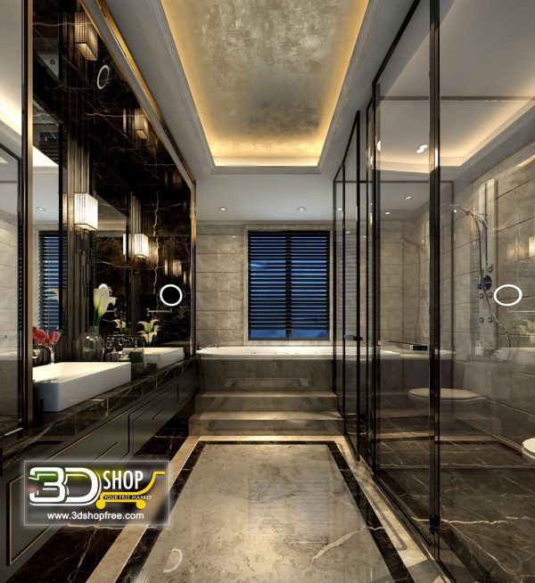 041 Bathroom Interior Scene