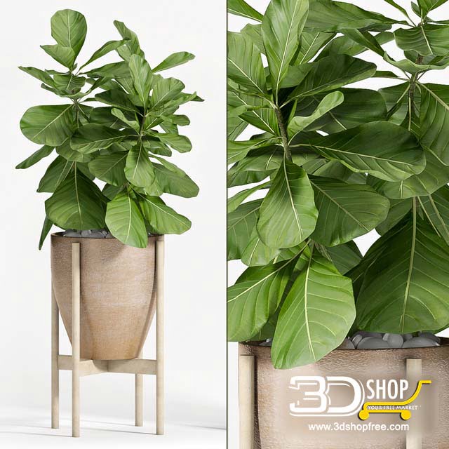 Plant Vase 3D Models