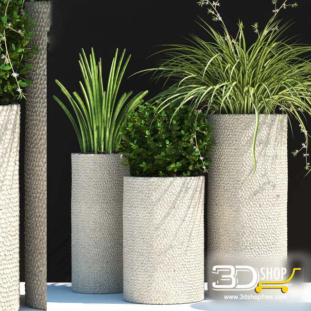 Plant Vases 3D Models