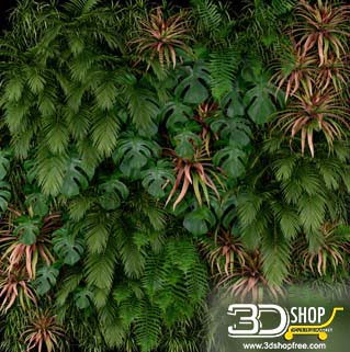 Plant Wall 3D Models