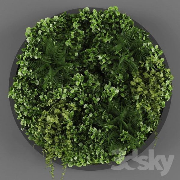 Plant 3d Model C038