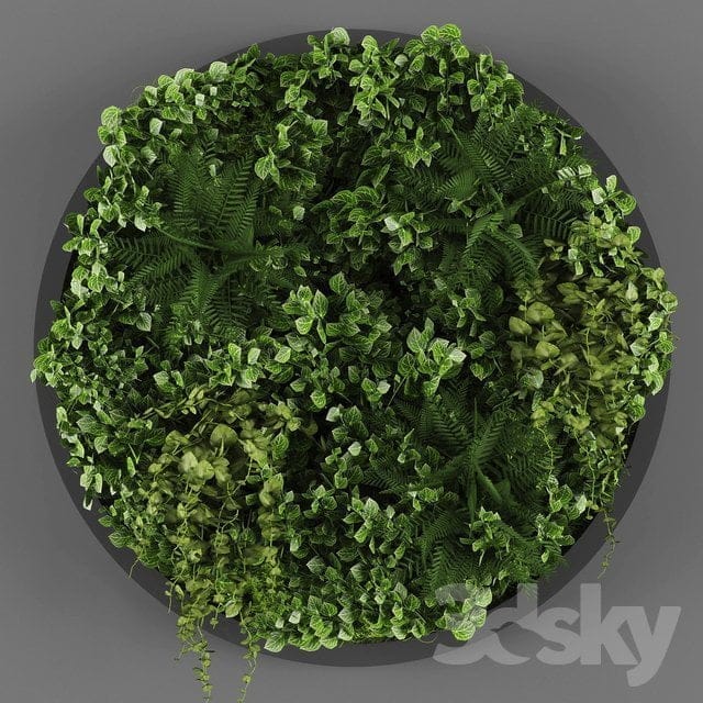 Plant 3d Model