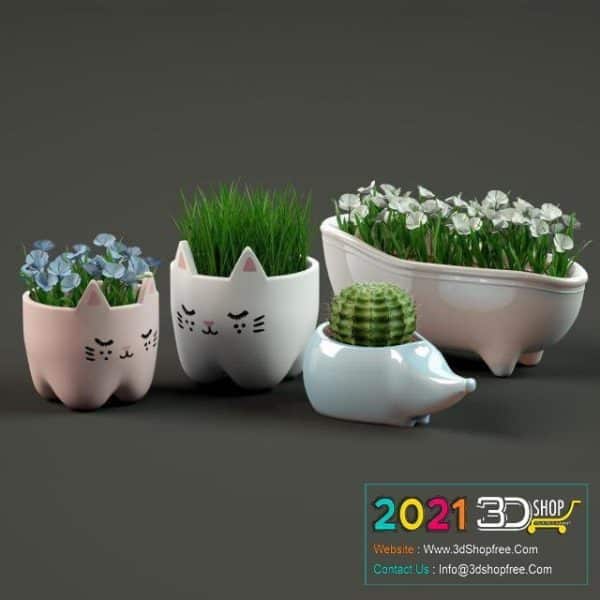 Decoration Plants C041