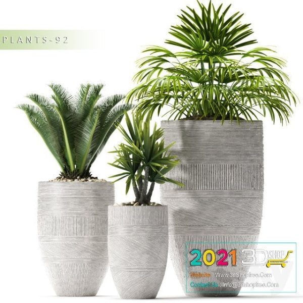 Plants Collection 3D Models C043