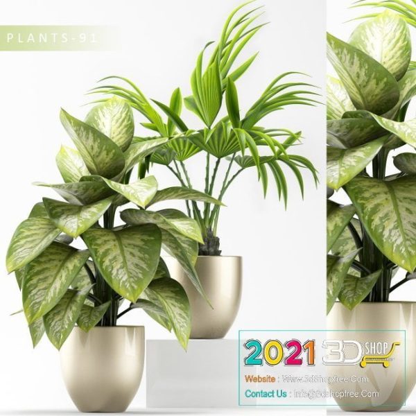 Plants Collection 3D Models C044