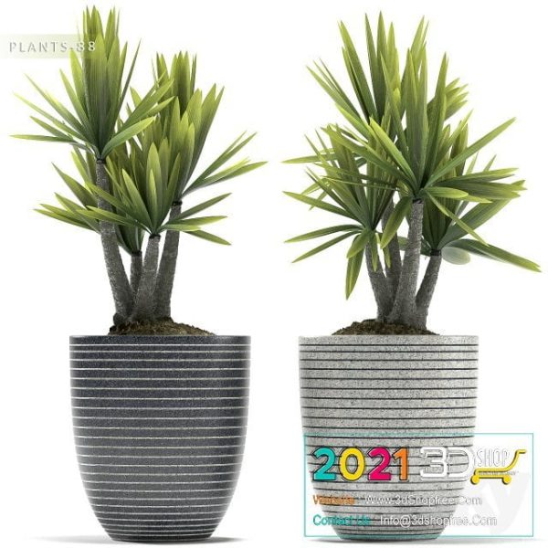 Plants Collection 3D Models C045