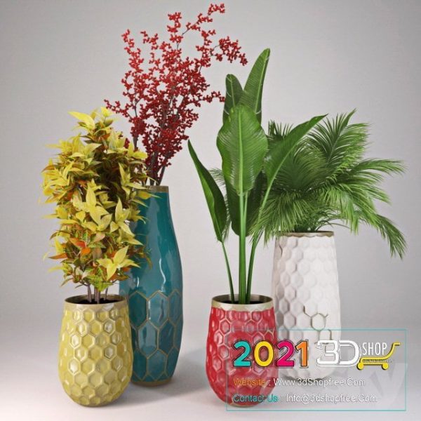 Plants Collection 3D Models C063