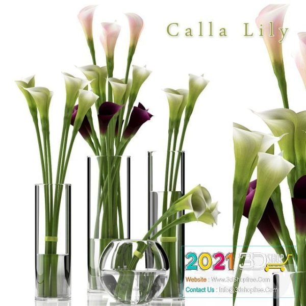 Plants Collection 3D Models C067