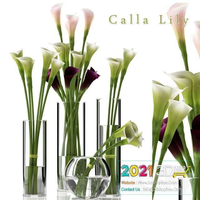 Plants Collection 3D Models