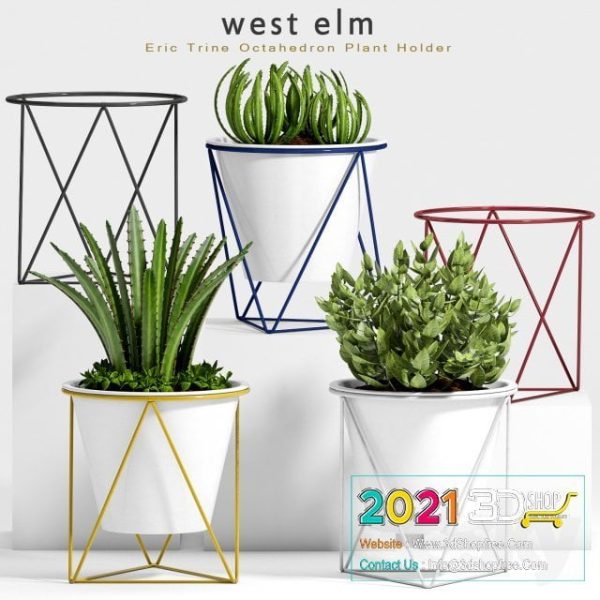 Plants Collection 3D Models C069