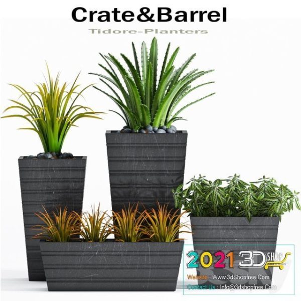 Plants Collection 3D Models C073