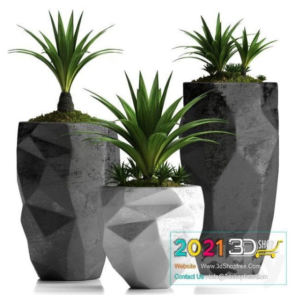 Plants Collection 3D Models C074